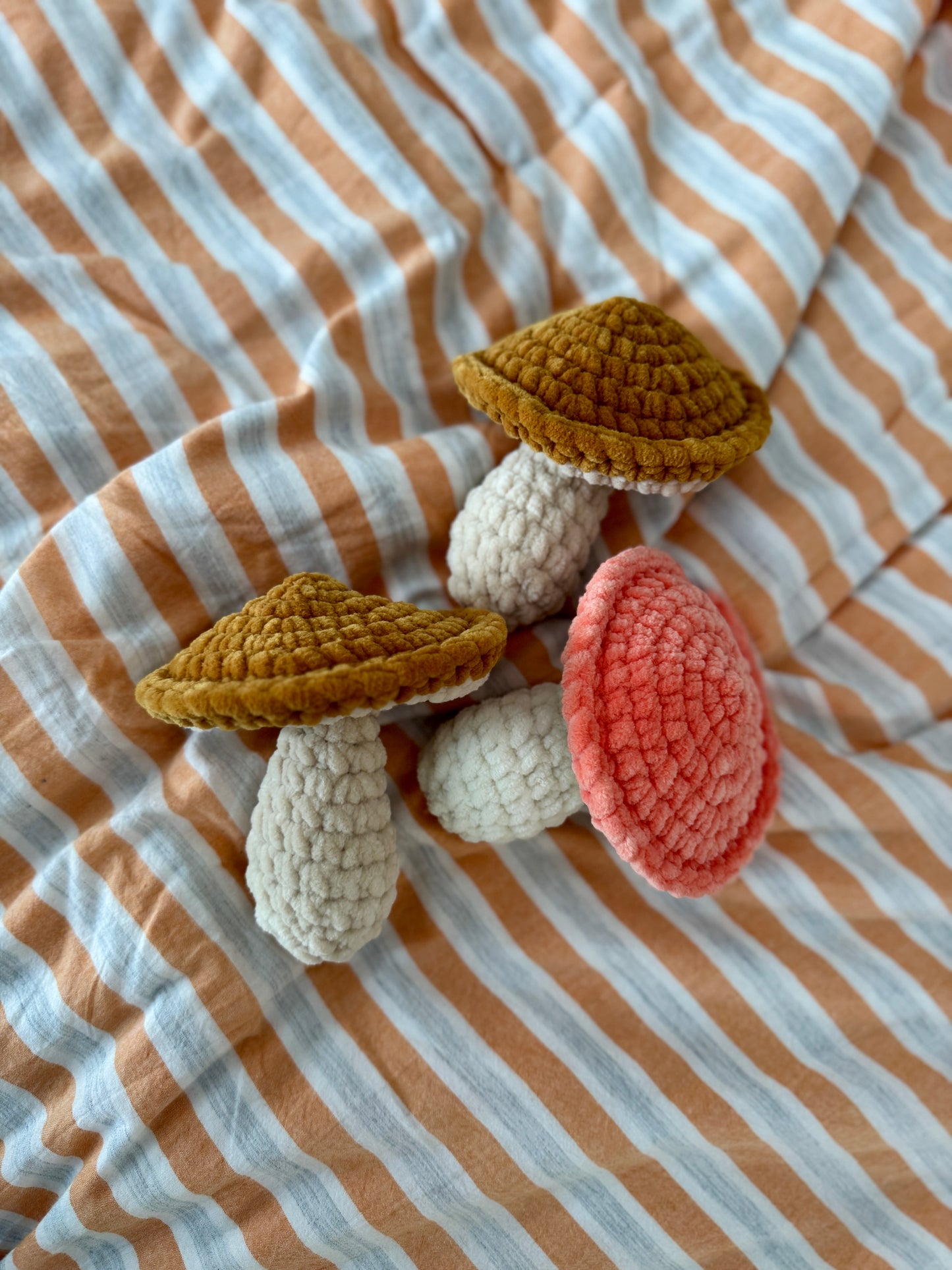 Mini Mushroom