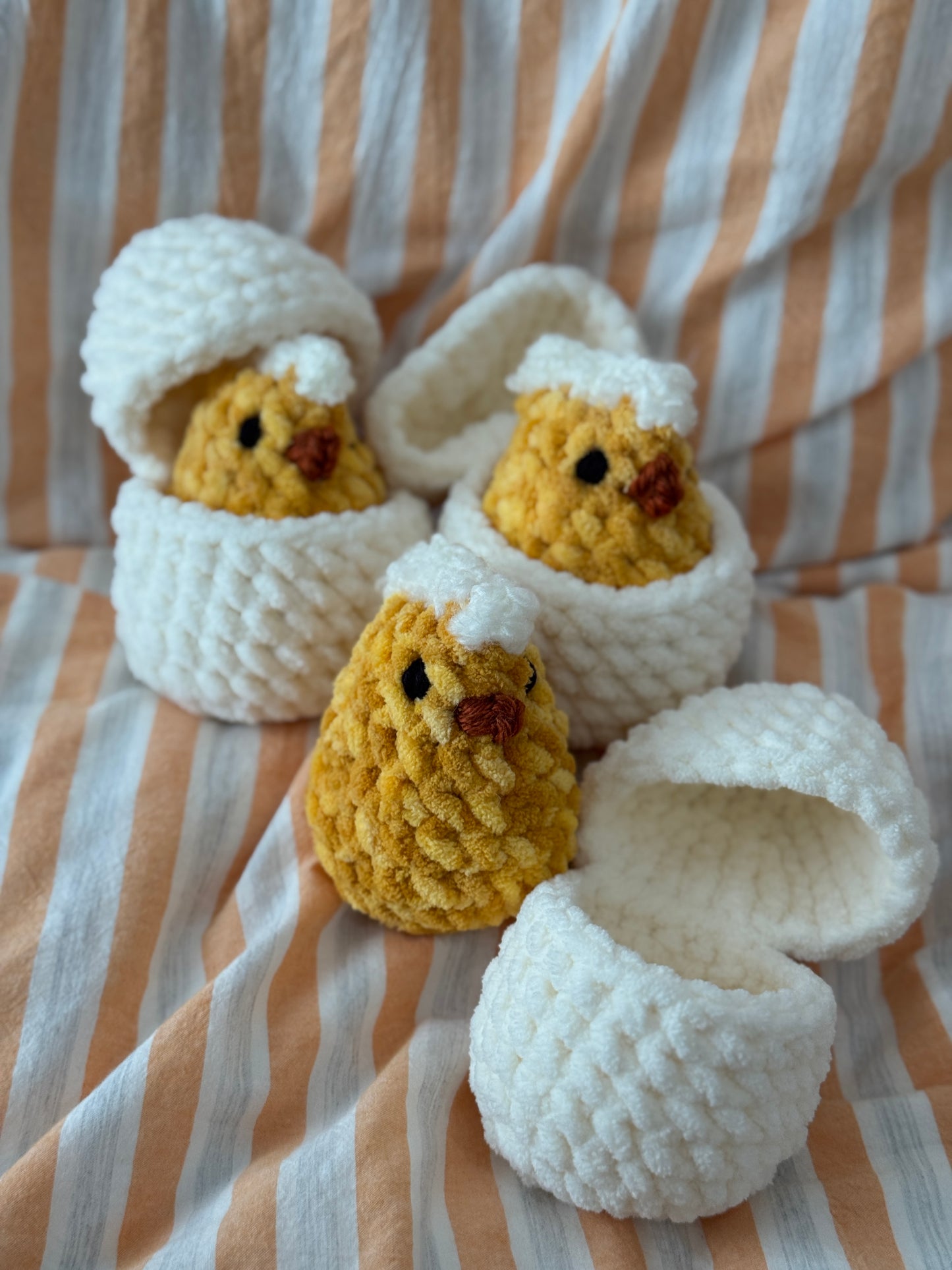 Hatching Chicks
