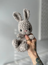 Load image into Gallery viewer, Bitty River the Bunny
