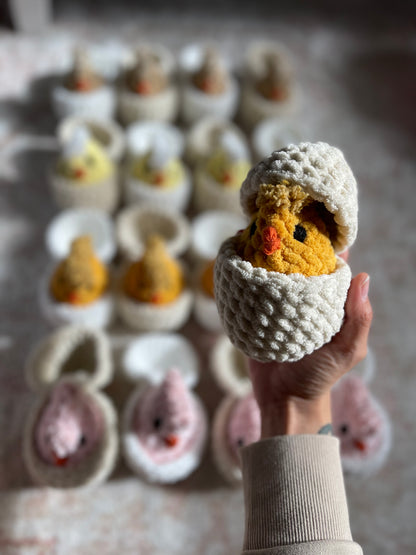Hatching Chicks