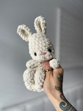 Load image into Gallery viewer, Bitty River the Bunny
