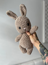 Load image into Gallery viewer, River the Bunny
