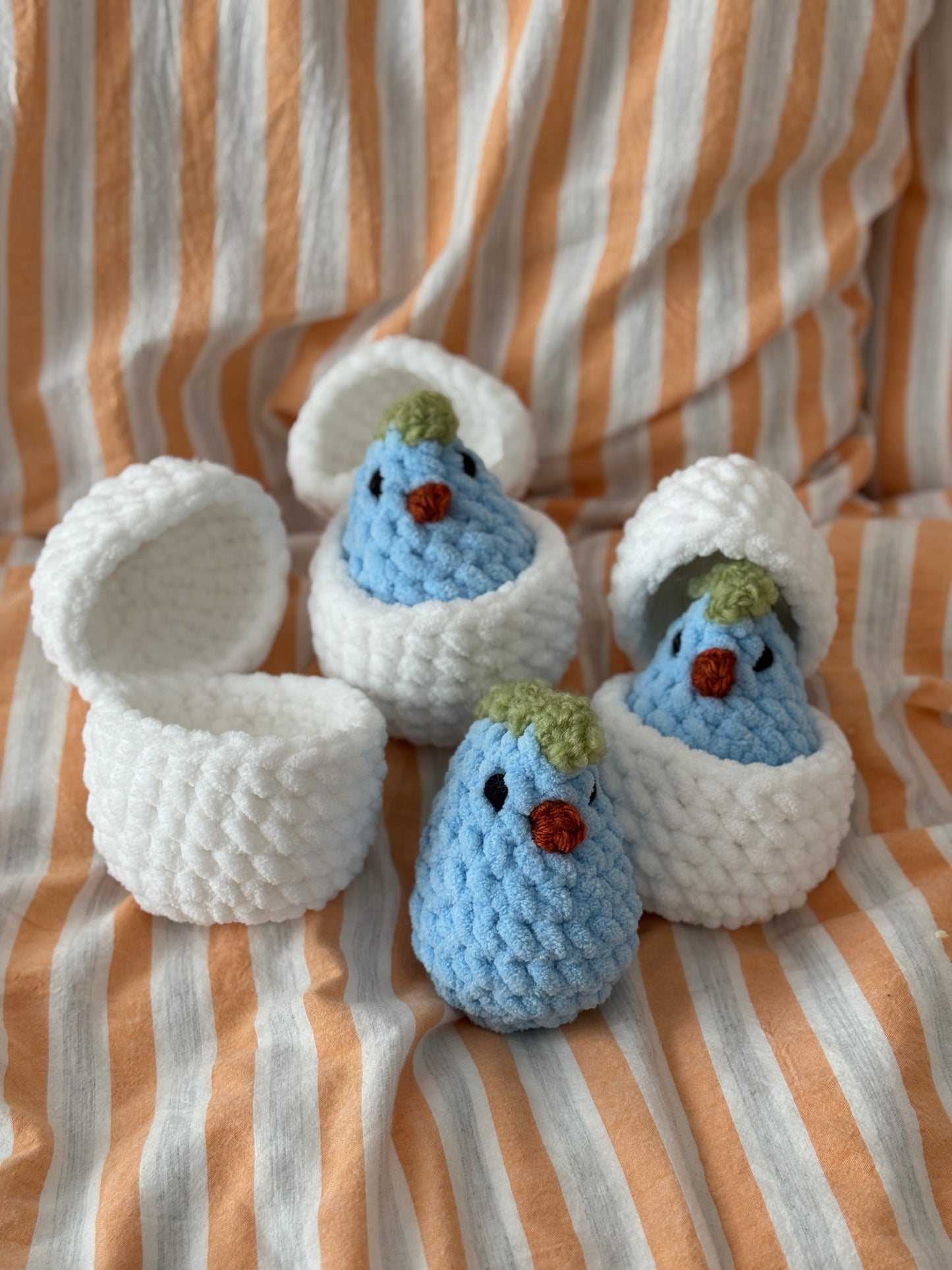 Hatching Chicks